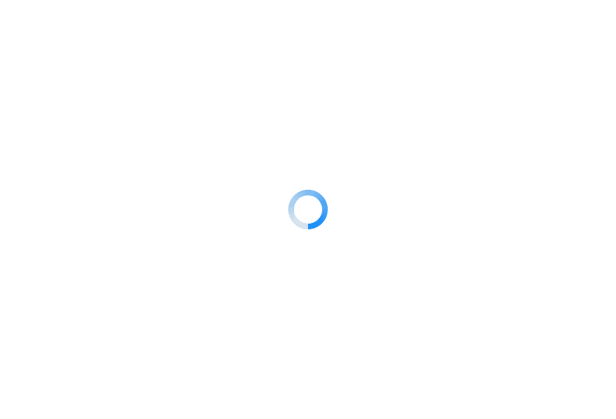 Spinner
